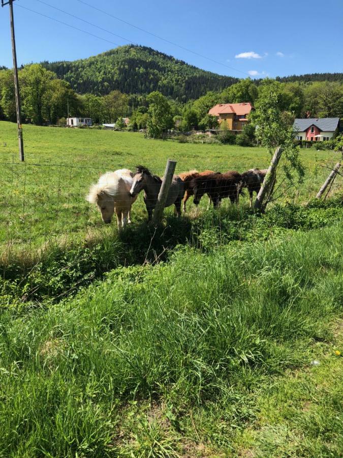 Dom górski do wynajęcia 3 km od Karpacza Sudecka 100 Miłków Exterior foto